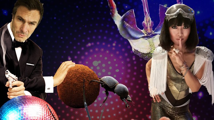 DiscoNature+adult+no+text+v2